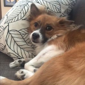 Meet your Posher, Yulia